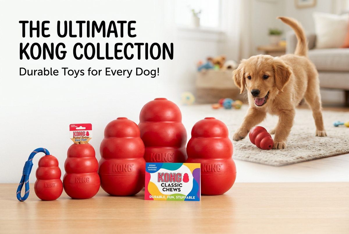 Kong Toys