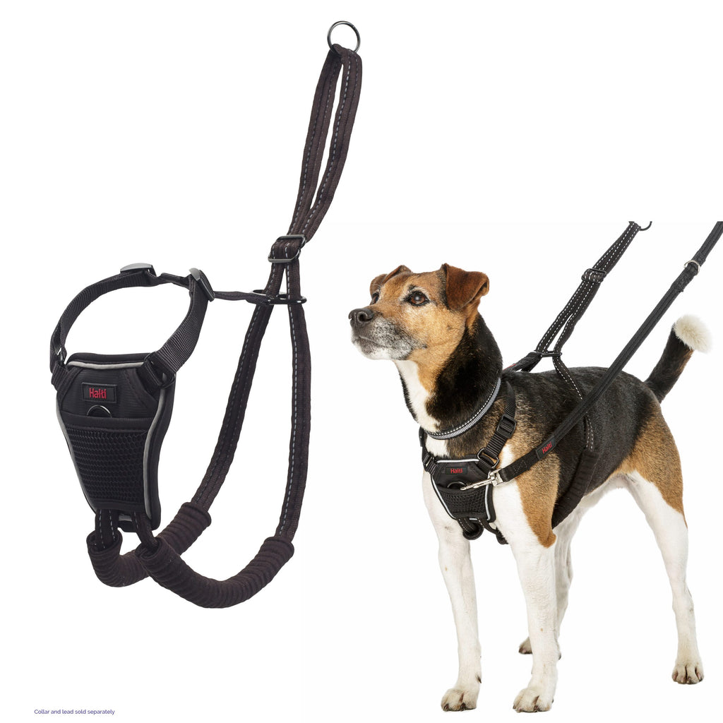 Halti No Pull Harness Size Large
