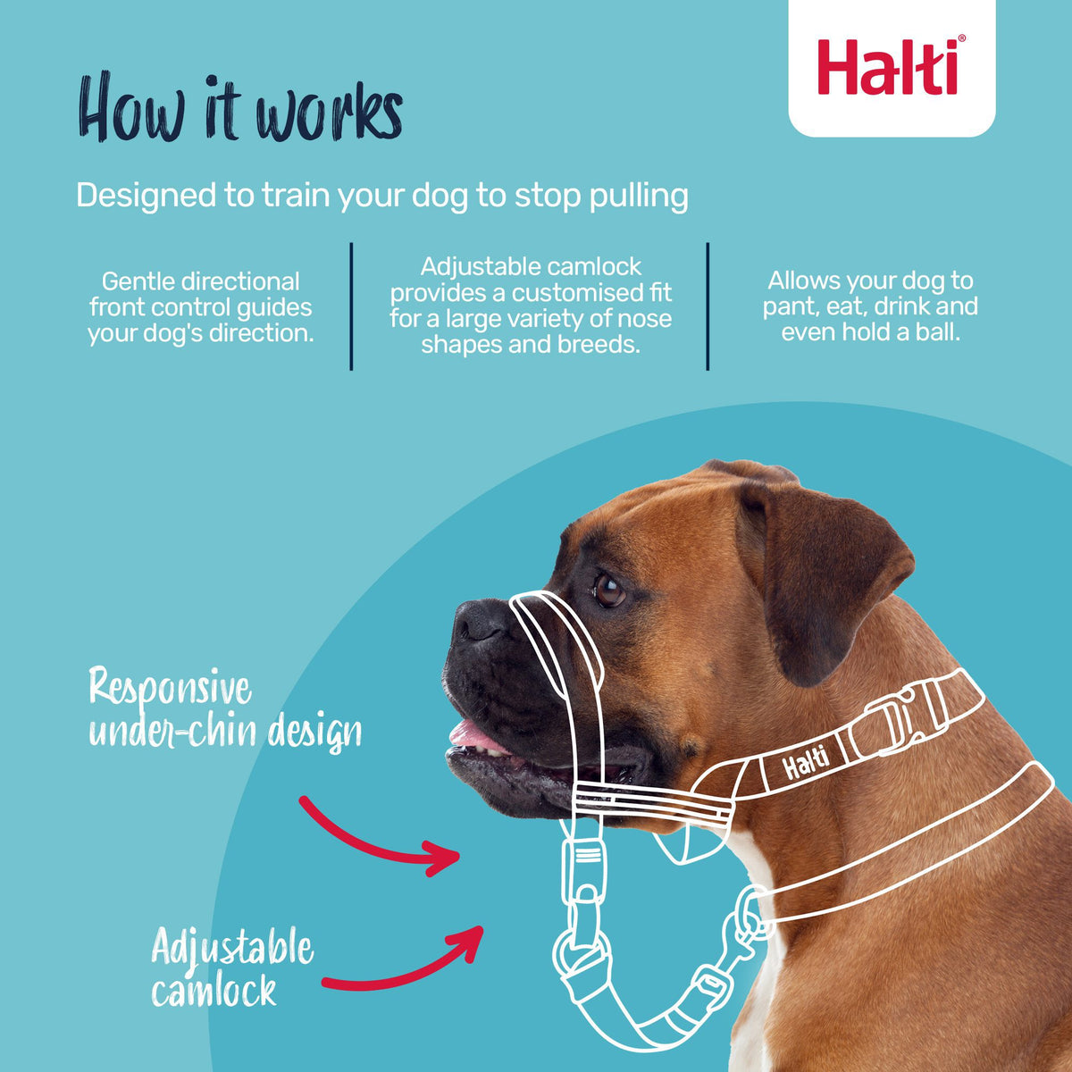 Halti Optifit Headcollar