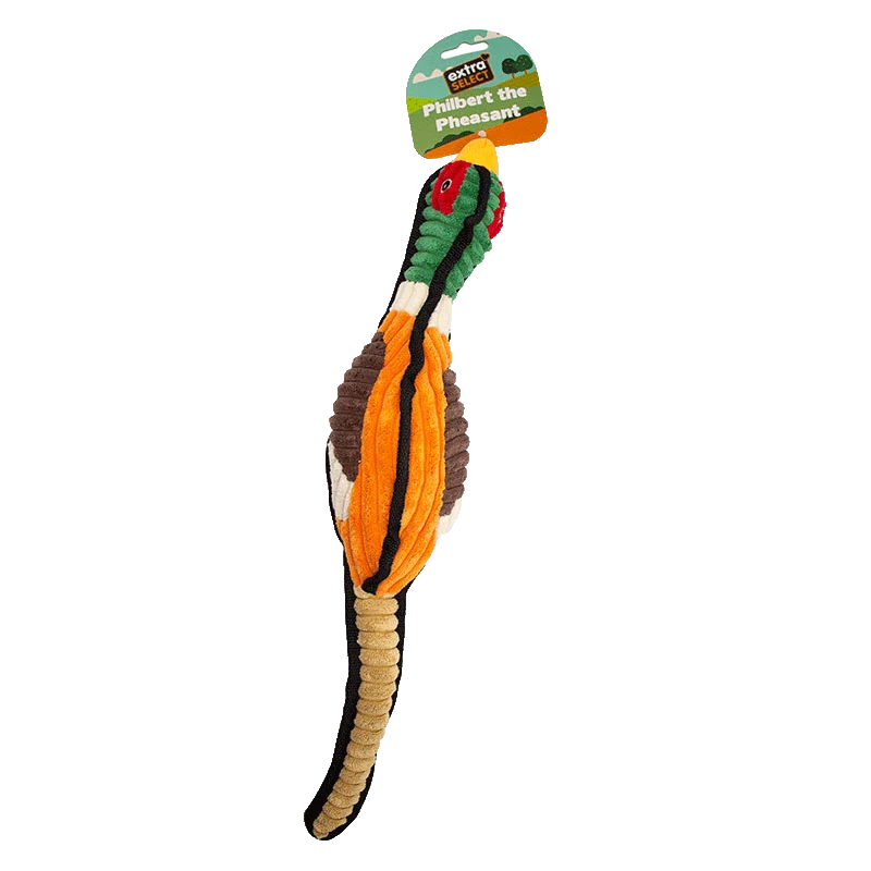 Extra Select Philbert the Pheasant Plush Dog Toy