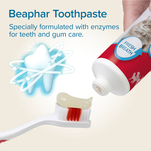 Beaphar Toothpaste for Cats & Dogs 100g