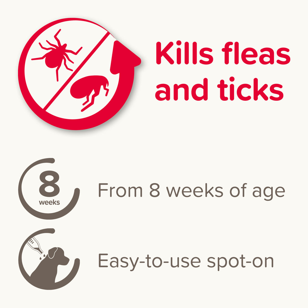 Beaphar Firprotec Flea & Tick Treatment 4 Pipettes (10kg-20kg) Dogs