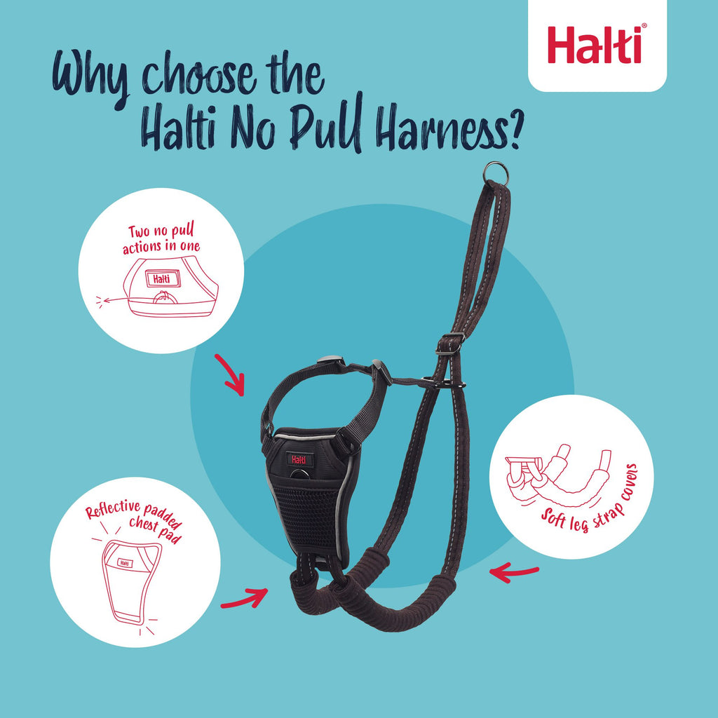 Halti No Pull Harness Size Large