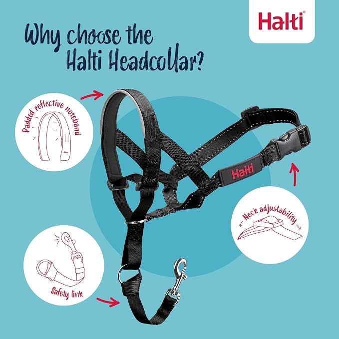 Halti Head Collar Size 4