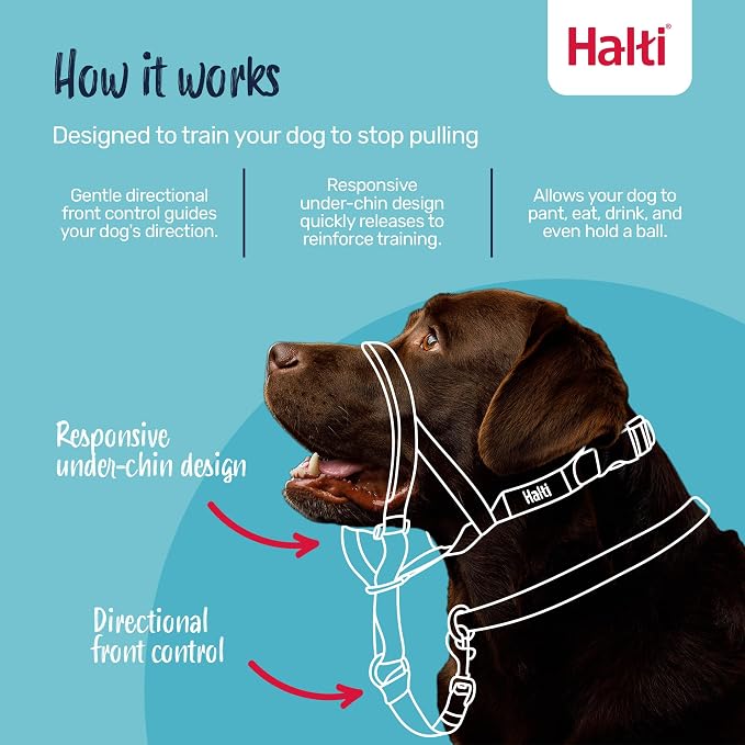 Halti Head Collar Size 1