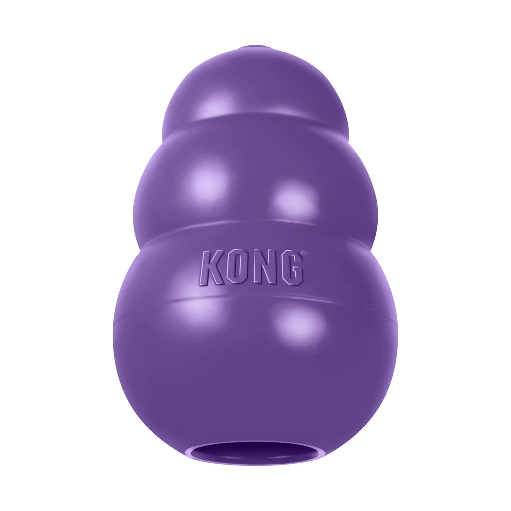 Kong Classic Senior