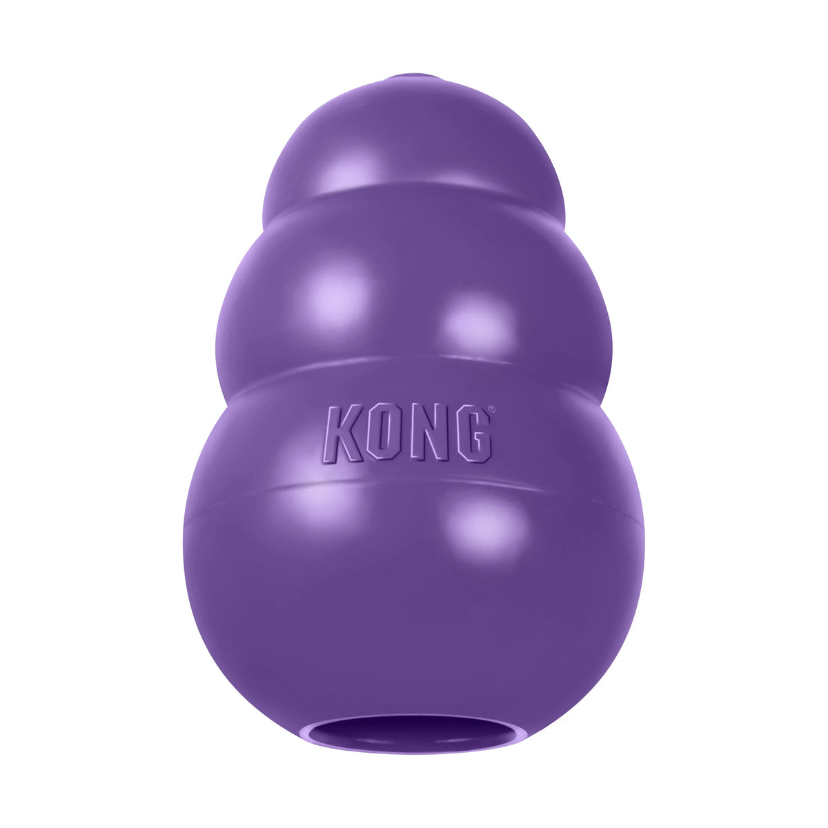 Kong Classic Senior