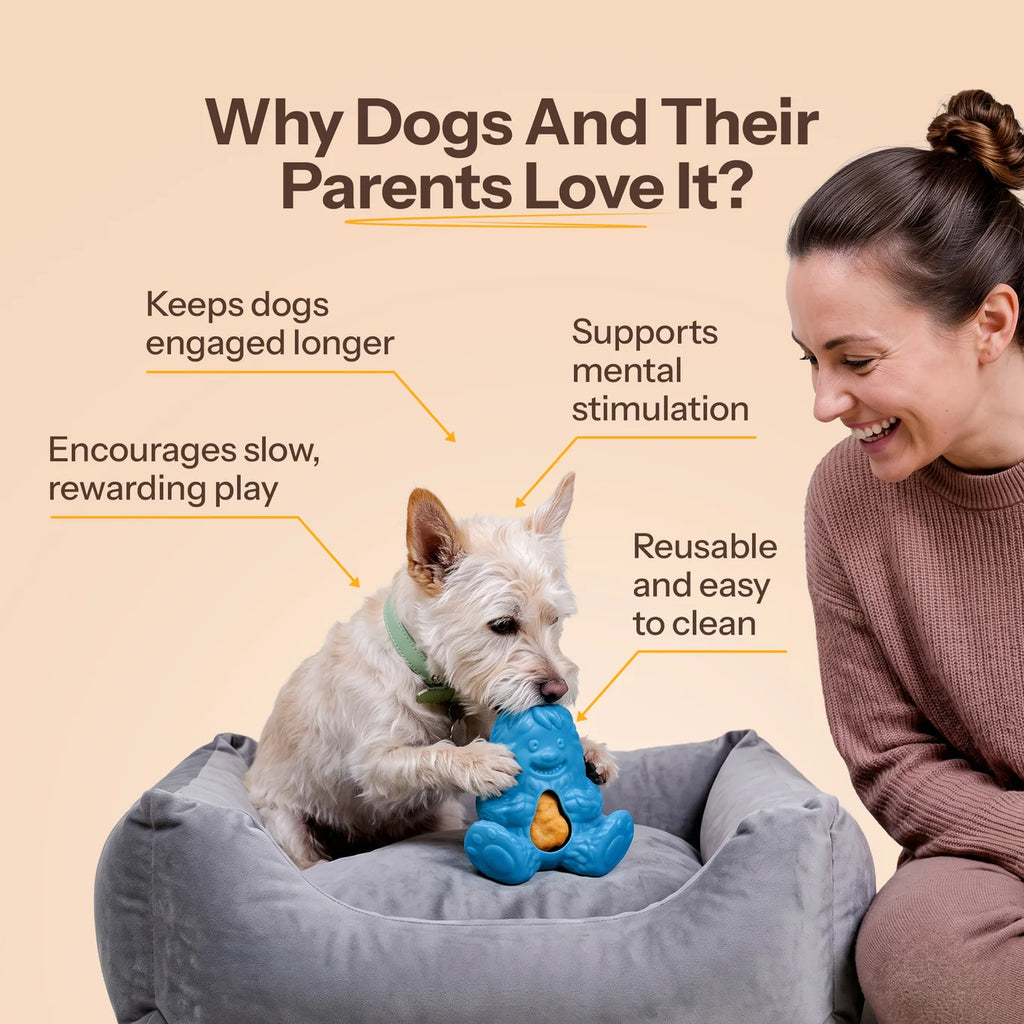 Dogsee Treat Toy Blue