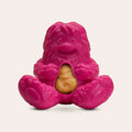 Dogsee Treat Toy Pink