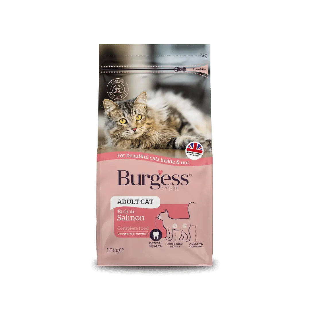 Cat Food – Moorlands pet supplies
