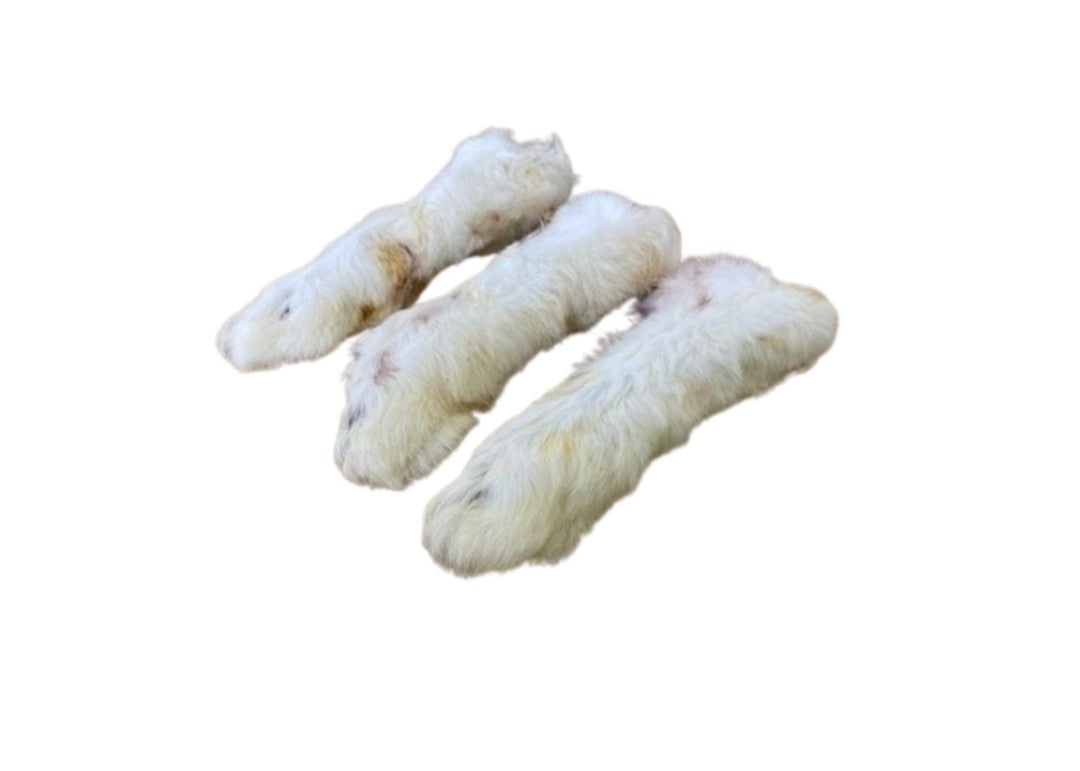 Rabbit Feet With Fur