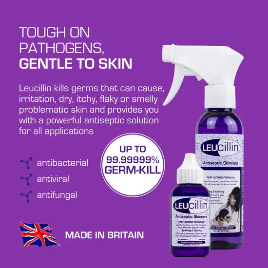 Leucillin Antiseptic Spray