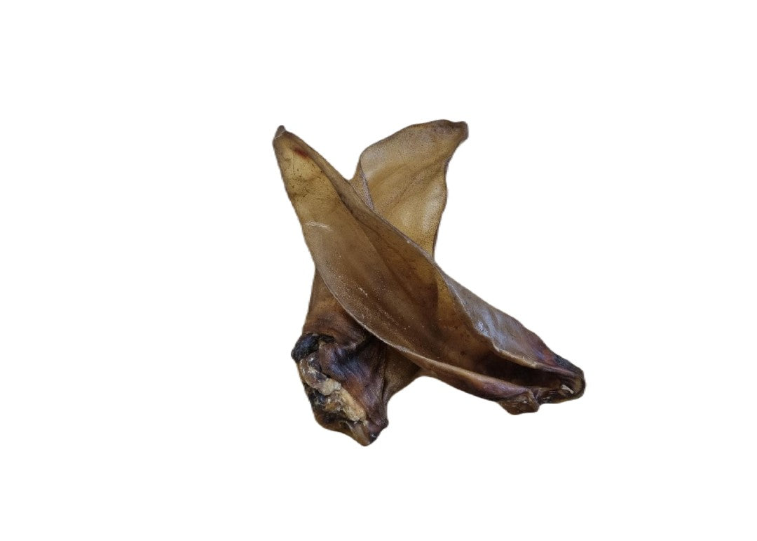 Buffalo Ears