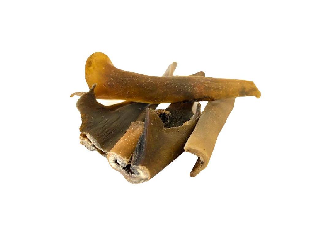 Camel Skin