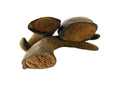 Buffalo Horns Filled