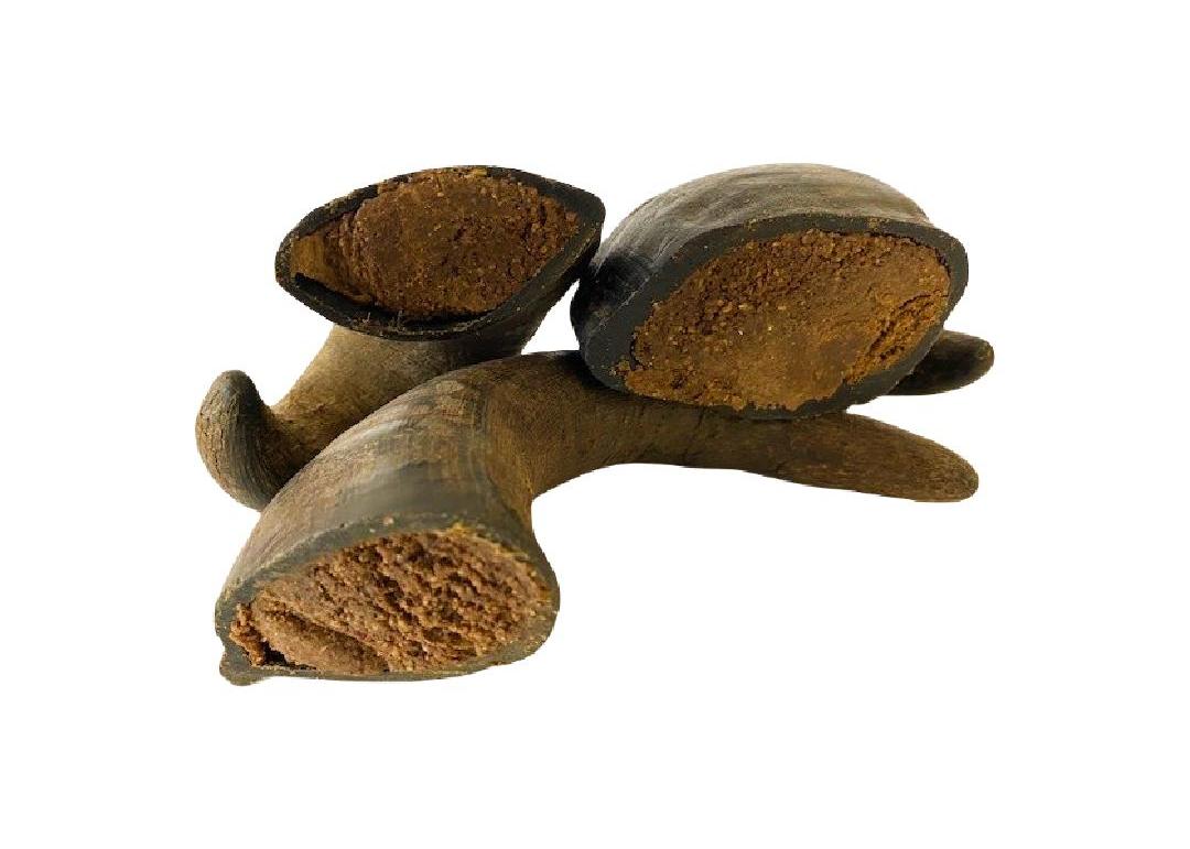 Buffalo Horns Filled