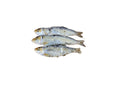 Sardines 100g