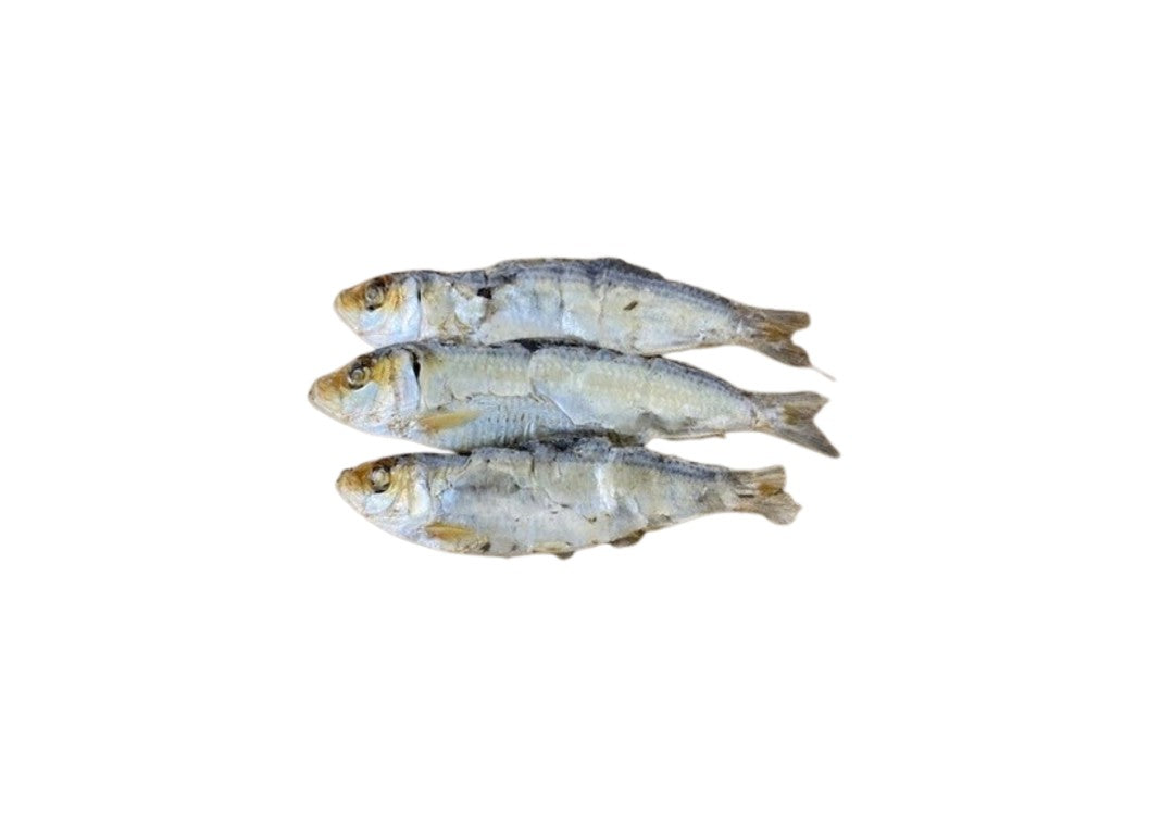 Sardines 100g