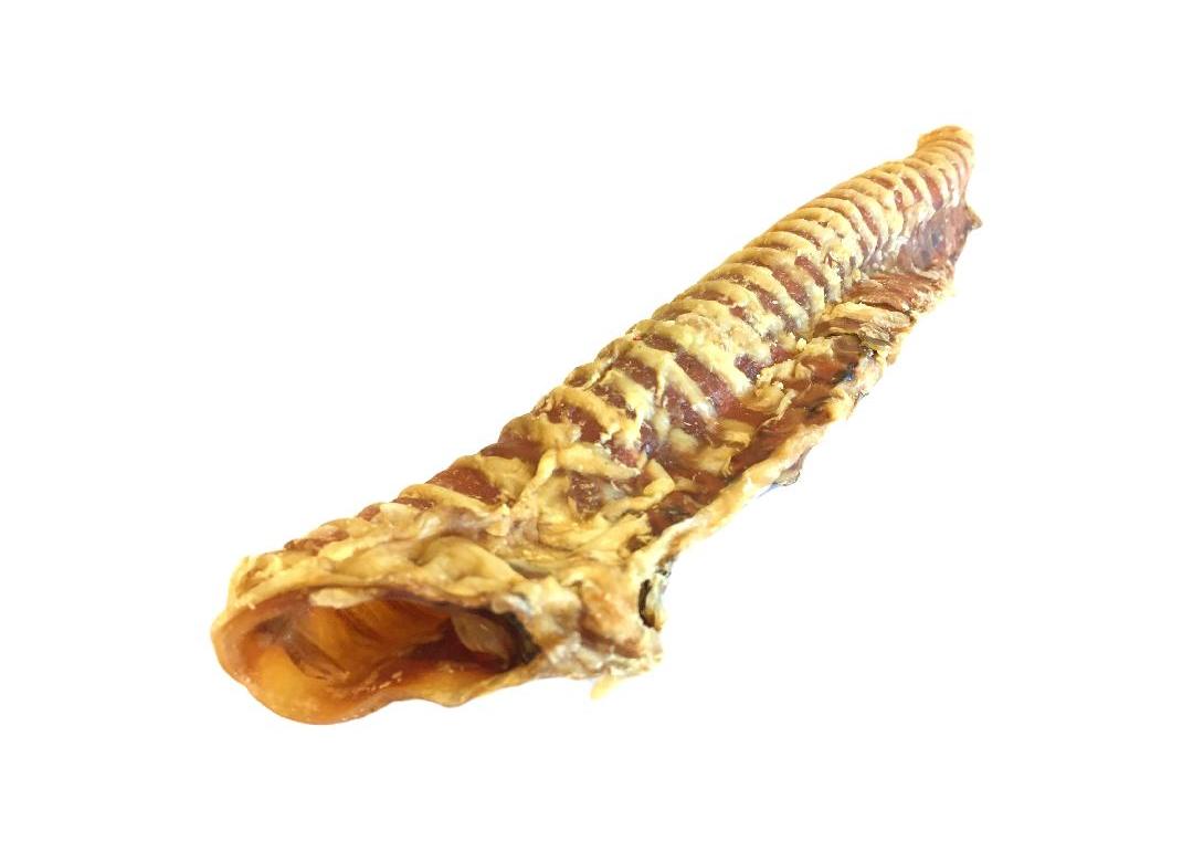 Buffalo Trachea 25cm