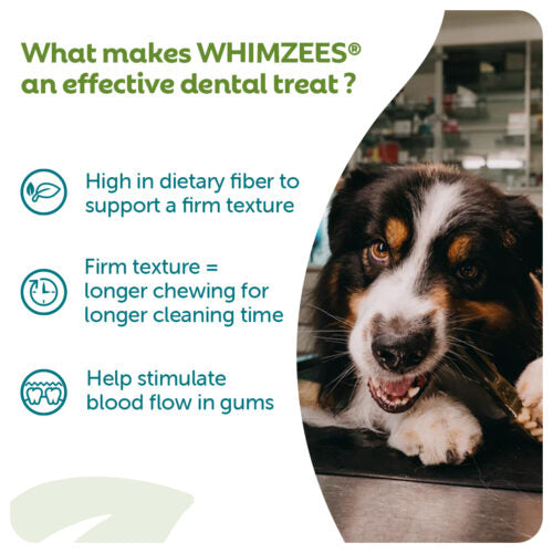 WHIMZEES® Alligator Medium Single