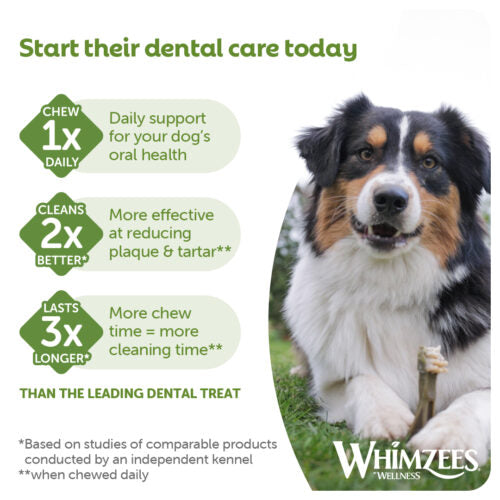 WHIMZEES® Toothbrush Small Single