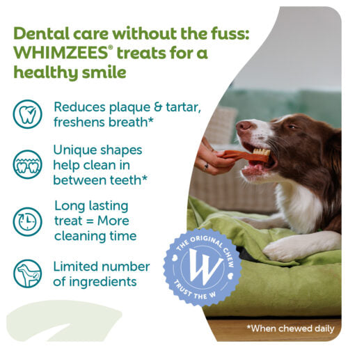 WHIMZEES® Toothbrush Small Single